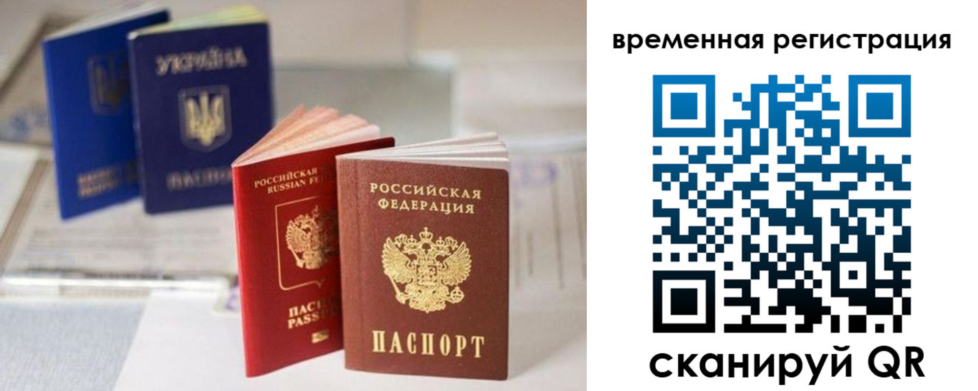 прописка поиск в Александрове